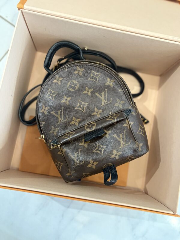 Sac à dos Louis Vuitton Palm spring mini